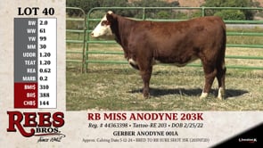 Lot #40 - RB MISS ANODYNE 203K