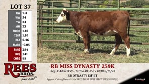 Lot #37 - RB MISS DYNASTY 259K