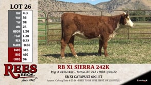 Lot #26 - RB X1 SIERRA 242K