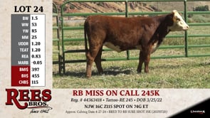 Lot #24 - RB MISS ON CALL 245K