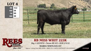 Lot #4 - RB MISS WHIT 223K