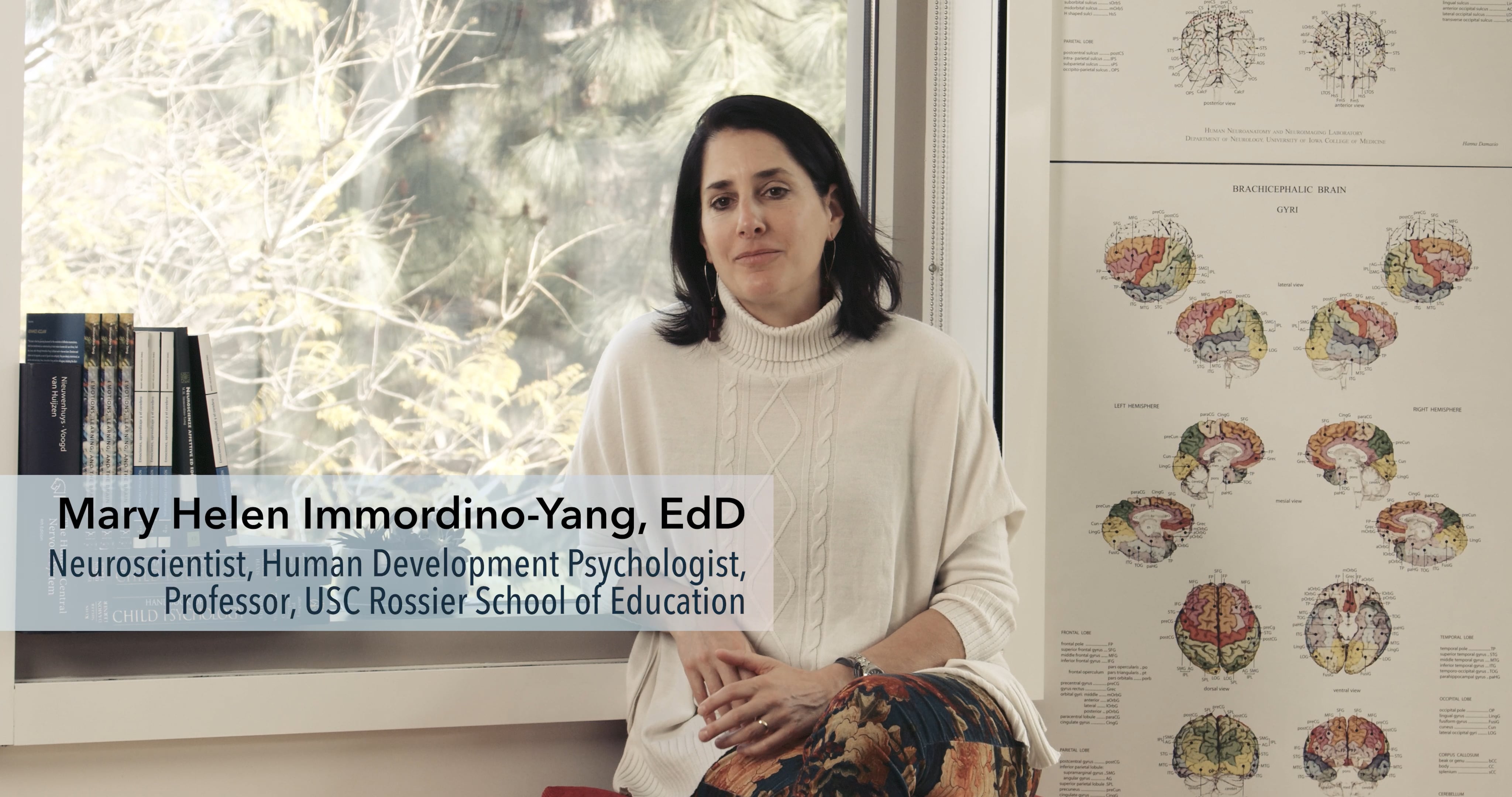 The Neuroscience of Teen Minds: Stories & Brain Development