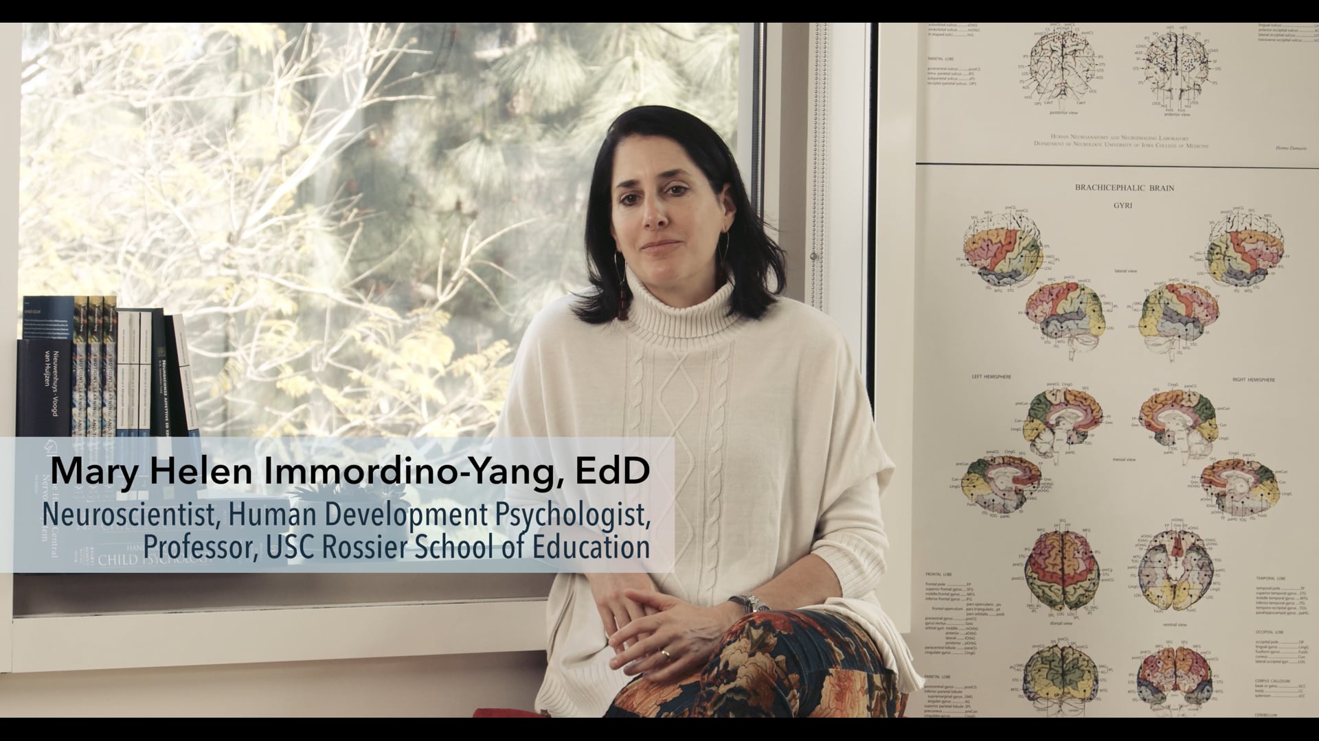 The Neuroscience of Teen Minds: Stories & Brain Development