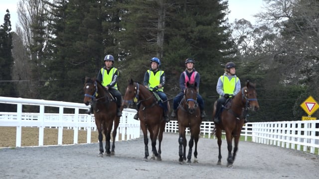 2023 Ready to Run | Expert Horse People - Sam Beatson, Riversley Park