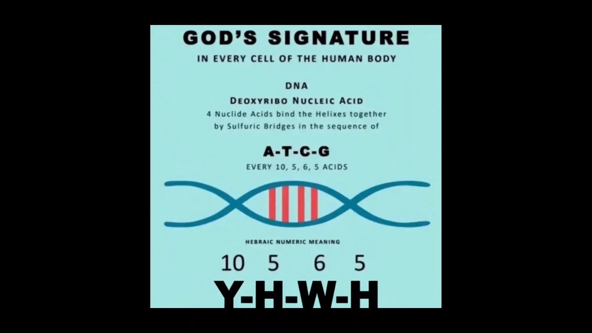 God's Signature on Human DNA
