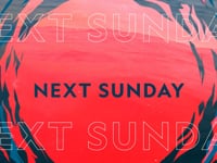 Bull Shark Bandits :15