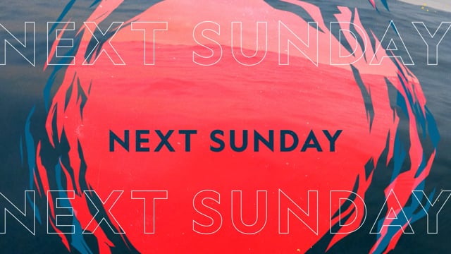 Bull Shark Bandits :15