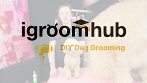 Brushing your Dog's Head