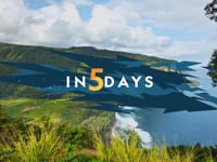 5 Days
