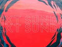 Bull Shark Bandits :30