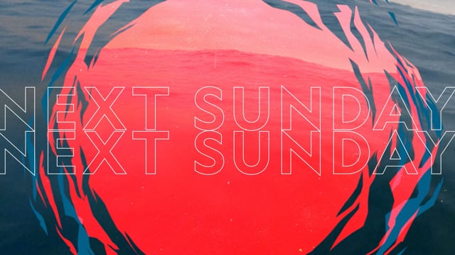 Bull Shark Bandits :30