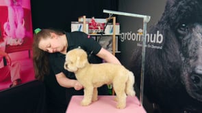 diy Brush and Comb after the bath HF