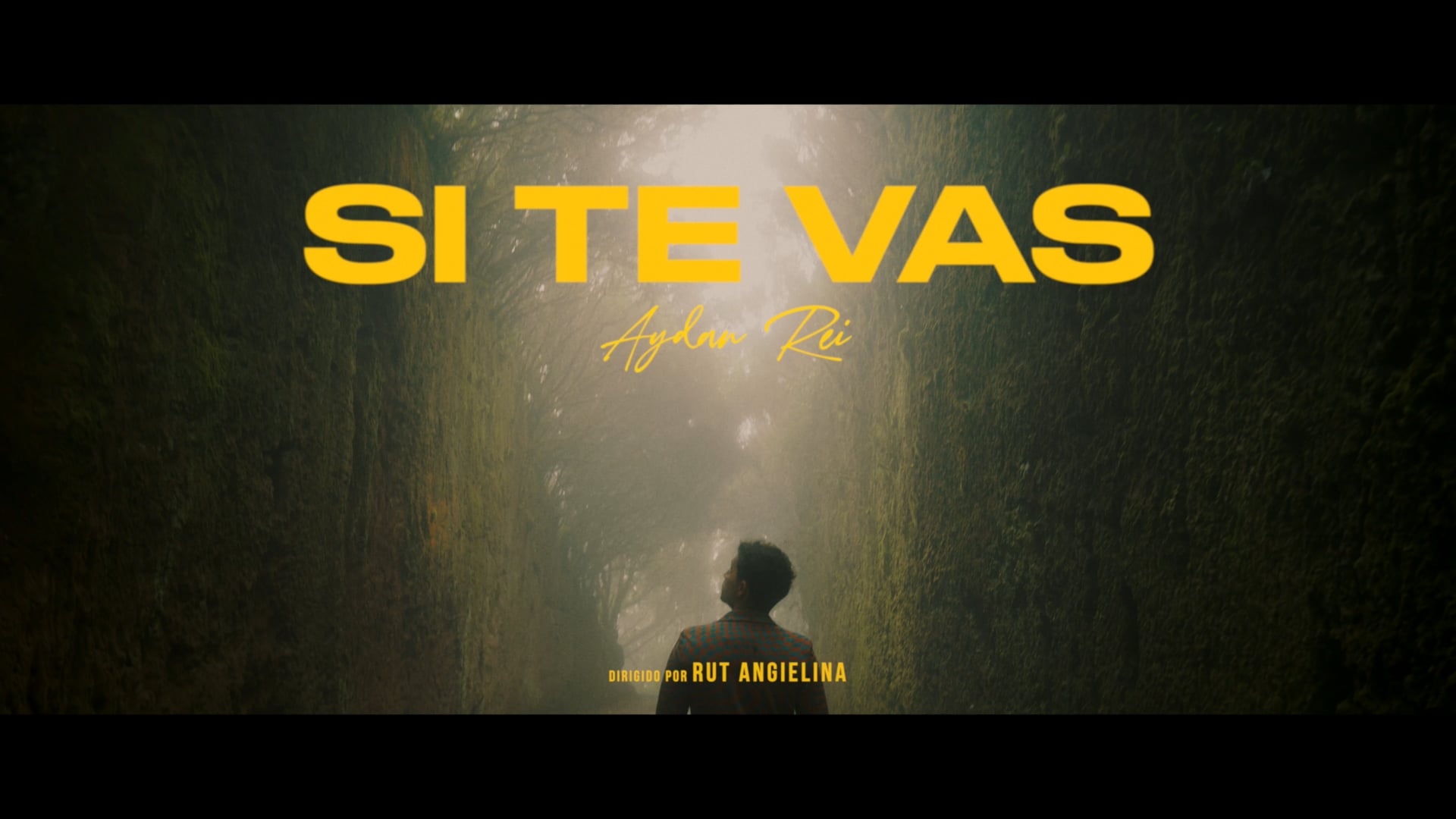 Si te vas - Videoclip