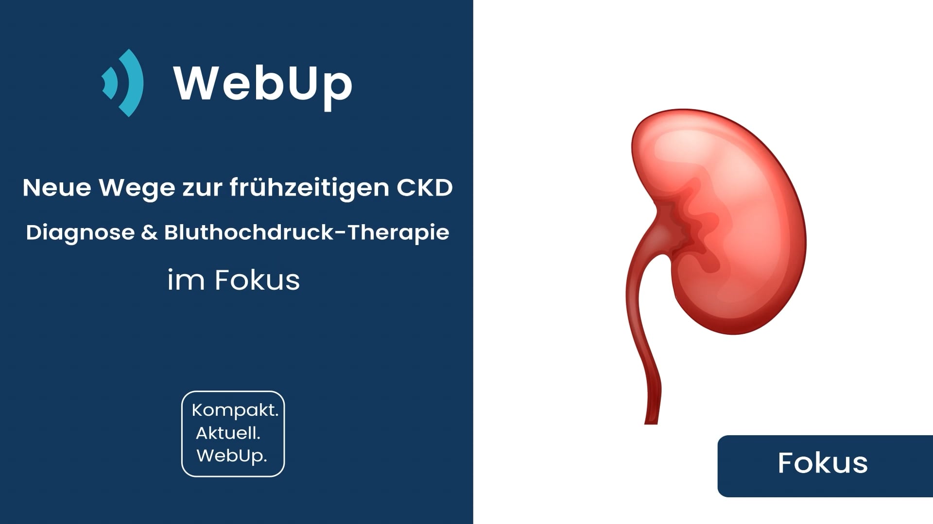 Neue Wege zur frühzeitigen CKD-Diagnose & Bluthochdruck-Therapie 