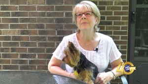 Carol's Story