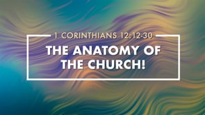 The Anatomy of the Church!