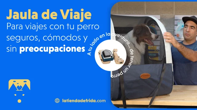 Jaula de Viaje Plegable para Perros y Gatos - Collapsible Travel Crate — La  Tienda de Frida & Chelsee