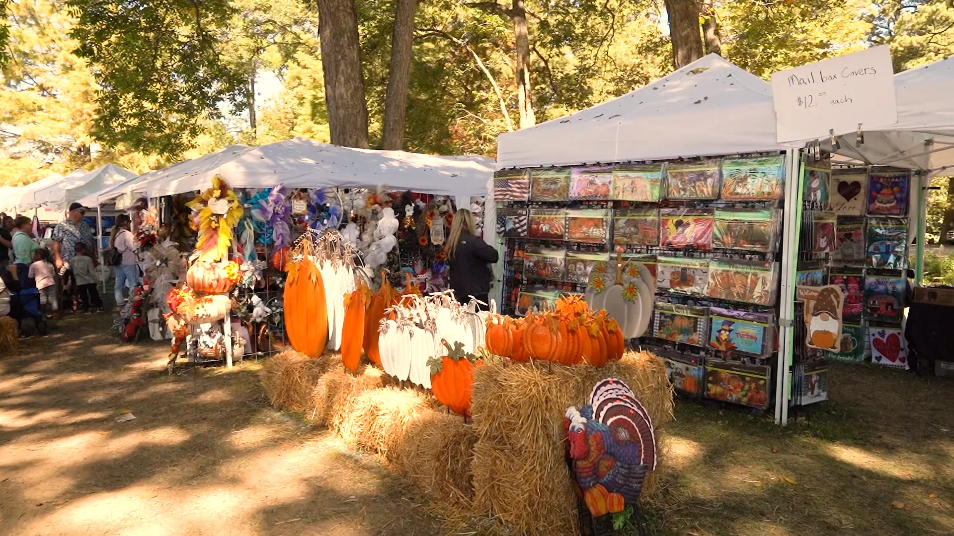 Reelfoot Arts and Crafts Festival on Vimeo