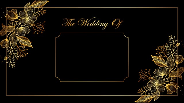 461 Movie Wedding Invite Stock Video Footage - 4K and HD Video Clips