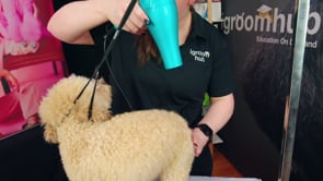 DIY - Colleen - Drying