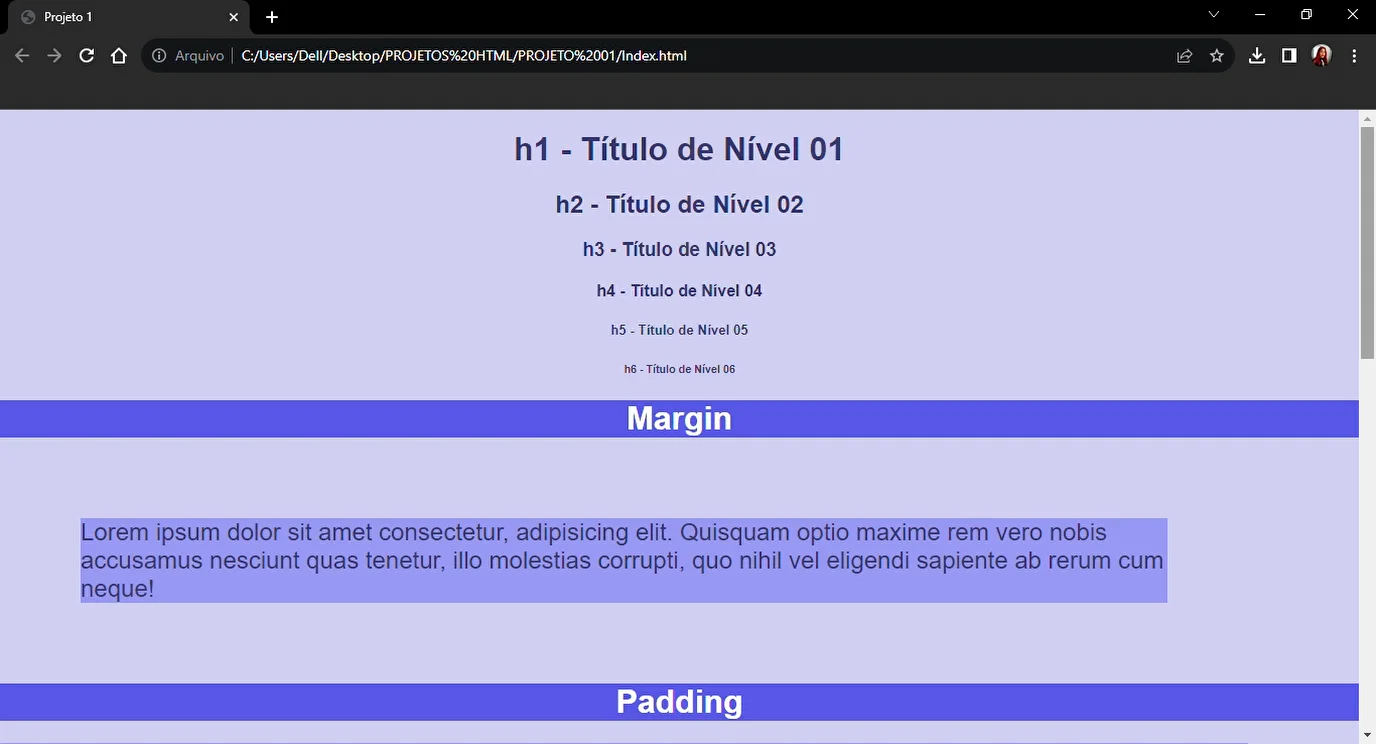 Projeto 1 on Vimeo