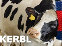 https://www.kerbl.com/de/product/kratzbuerste/146695/13726 https://www.kerbl.com/de/product/kratzbuerste-xl/934099/790642  - erm&amp;ouml;glicht ein arttypisches Scheuern&amp;hellip;