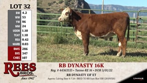 Lot #32 - RB Dynasty 16K