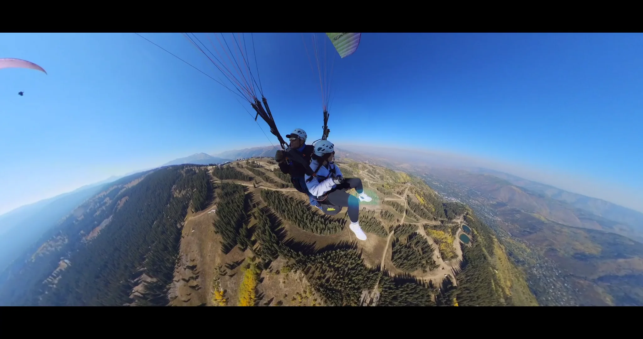 Fall Flight on Vimeo