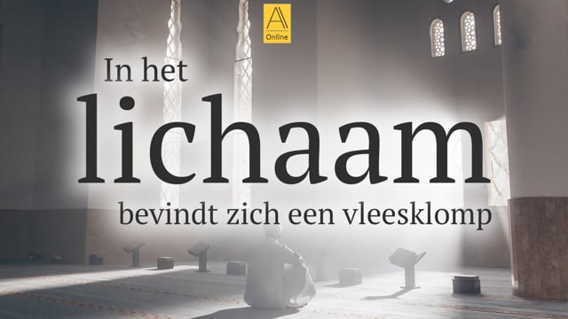 In het lichaam bevindt zich een vleesklomp