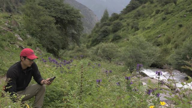 Science at FMNH - Floral Diversity and Pedicularis