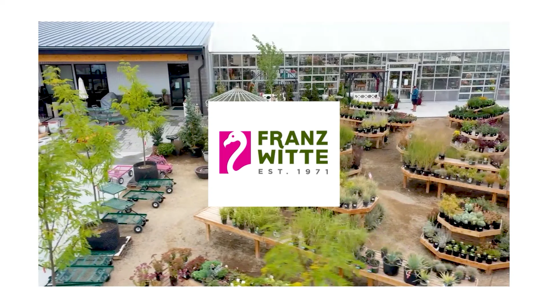 Franz Witte Fall October 2023 on Vimeo