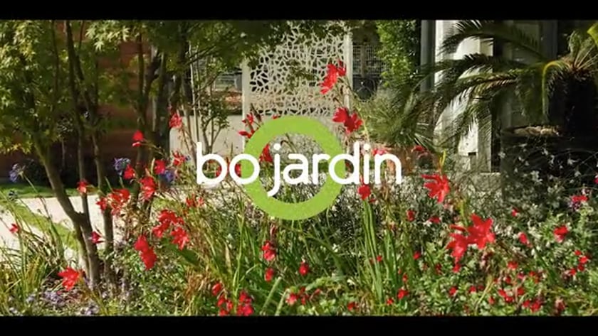 vimeo-video-thumbnail