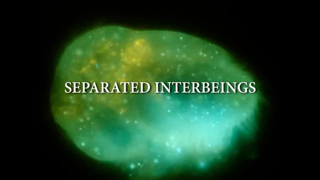 Separated Interbeings | Volume 2 (2023)