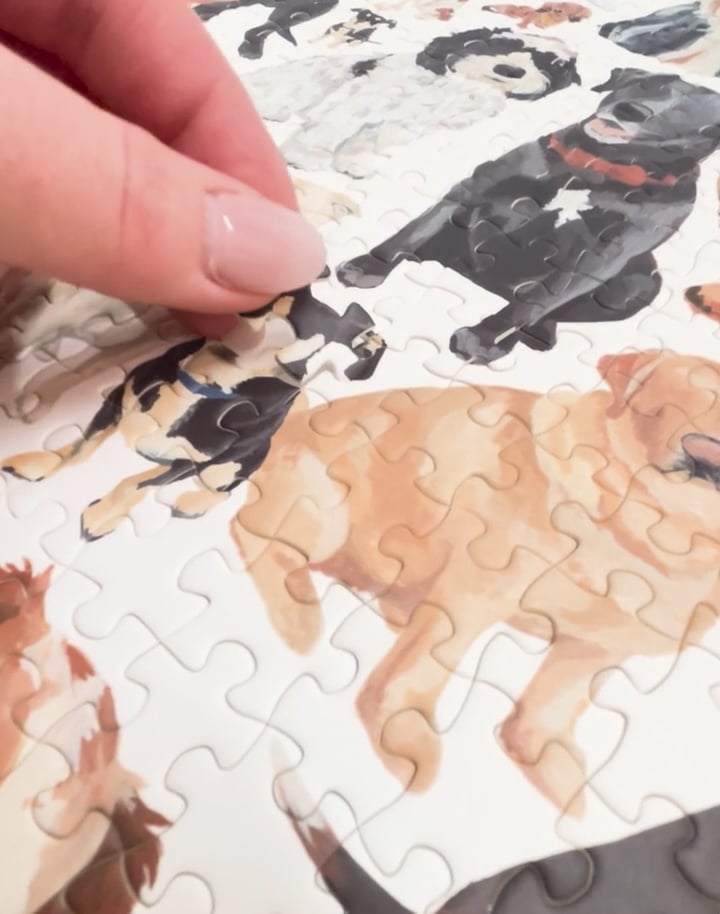 Furry Friends - 1,000 Piece Dog & Cat Jigsaw Puzzle image