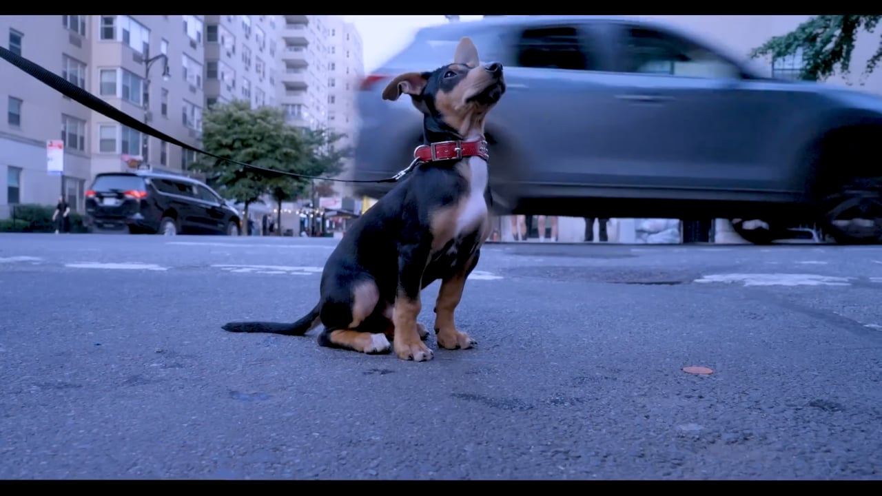Still 4