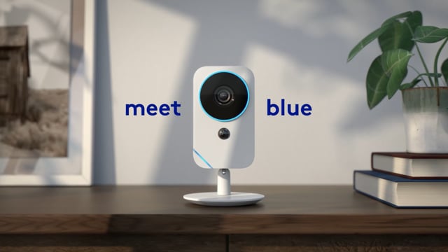 Introducing Blue by ADT