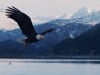 Alaska's Sky Hunters VO