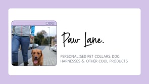 Accessorize in Style: Must-Have Dog Collars
