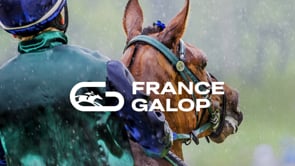 Le Galop, des émotions à toute allure !