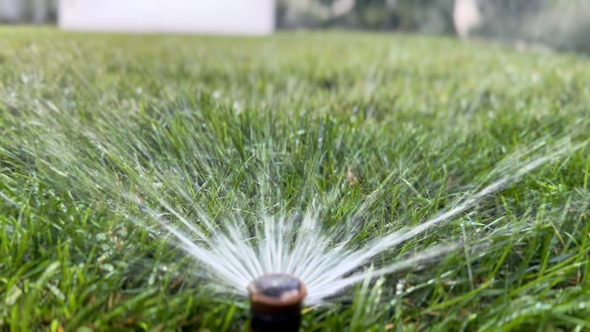 professional-landscape-management-near-me