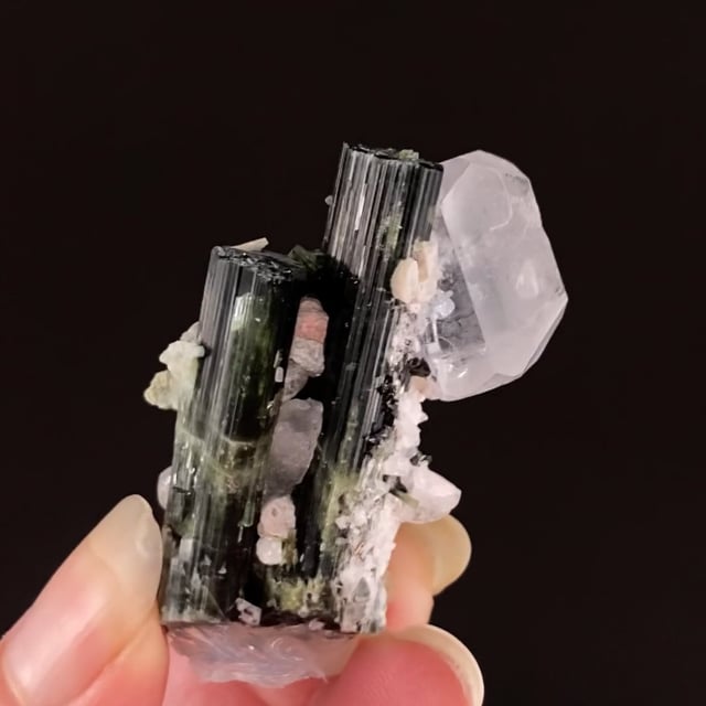 Beryl var: Aquamarine (doubly-terminated) on Tourmaline