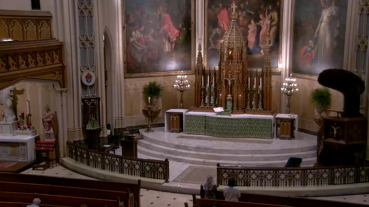Cathedral In New Orleans Mass Times