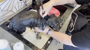 DIY nat bath at home wash and condition