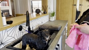 DIY lolly goes outside for a dry