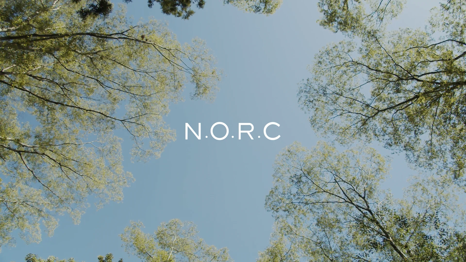 N.O.R.C 名品ロングと旬なハーフ：上質なリバーコートで日常を