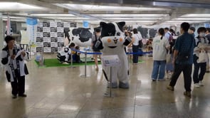 ニュース記事