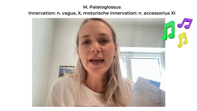 Lektion 3 - Der Zungenrücken und die Stimme