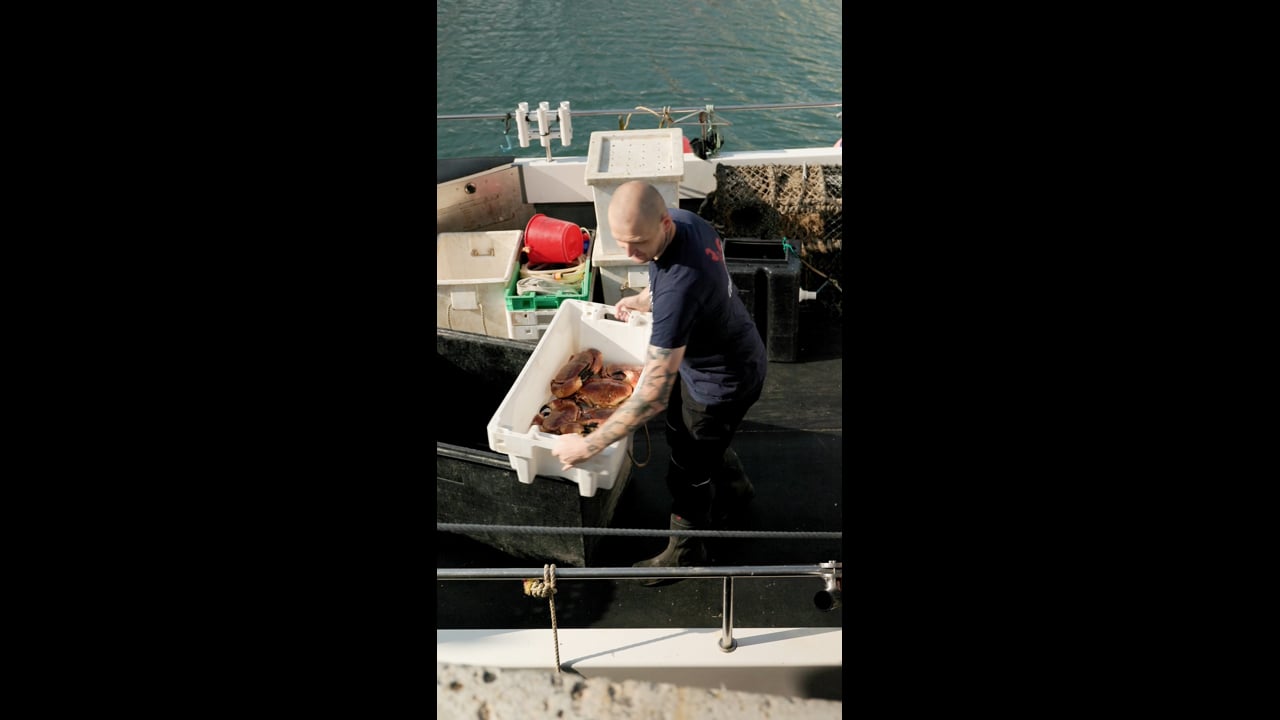 Crab dumplings - from boat to plate