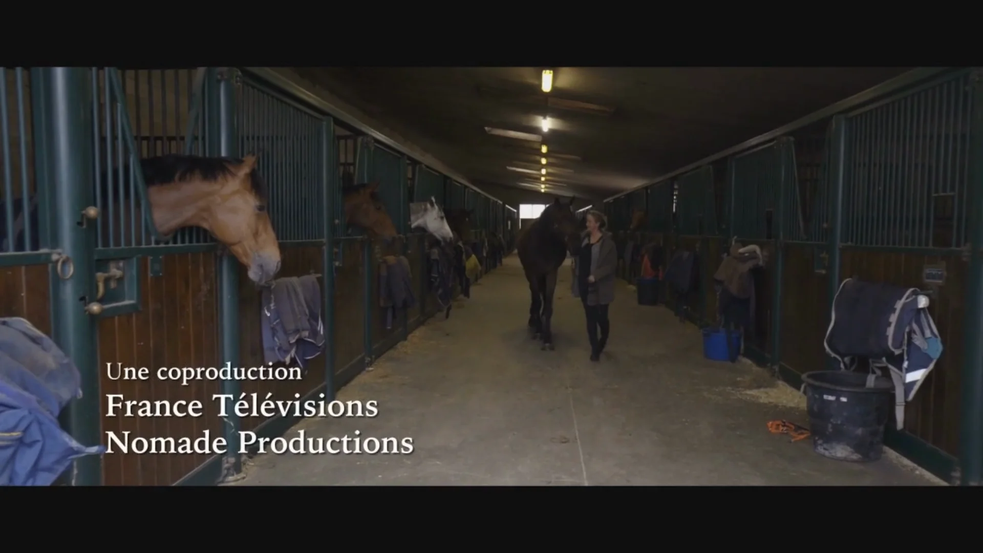 Watch Réparer mon visage (en audiodescription) Online Vimeo On Demand on Vimeo