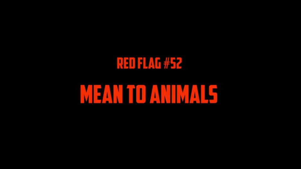 #52 Mean To Animals